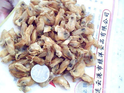 【新品促銷淡干海產(chǎn)海蠣干--優(yōu)質(zhì)無(wú)沙250克14元有QS認(rèn)證,質(zhì)量保證】?jī)r(jià)格,廠家,圖片,干制水產(chǎn)品,連云港市綠洋食品-