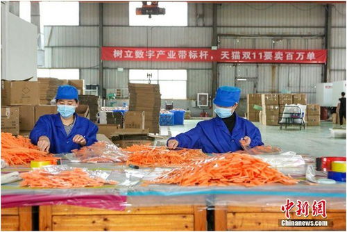 天貓雙11首日產(chǎn)業(yè)帶迎來(lái)開(kāi)門(mén)紅 7個(gè)產(chǎn)地1小時(shí)銷量過(guò)億
